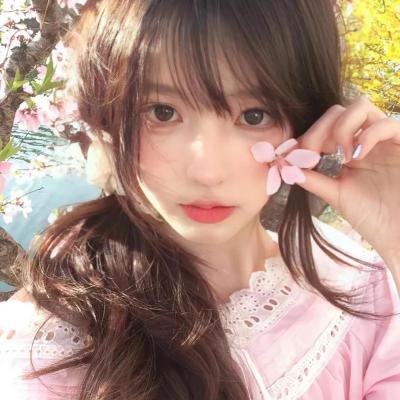 舞妓哈哈哈