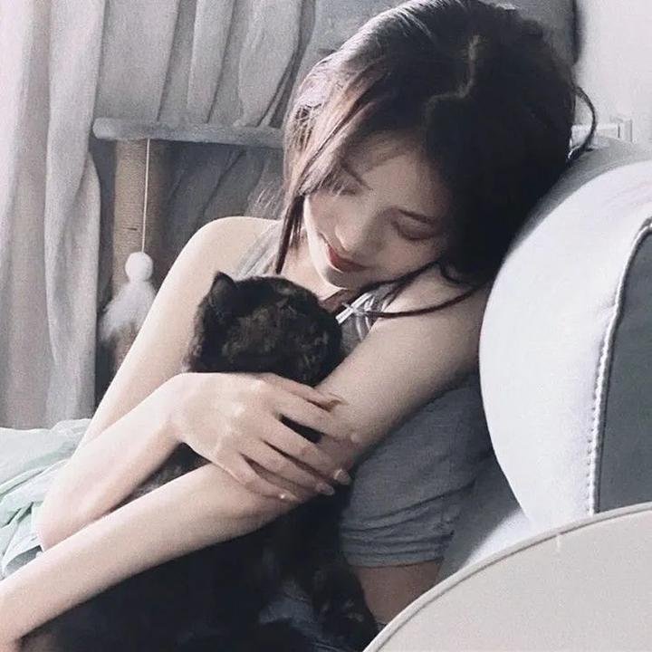 龙虎智多星